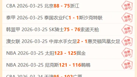 NBA赛事分析：专家解读期号胜负及总分详情